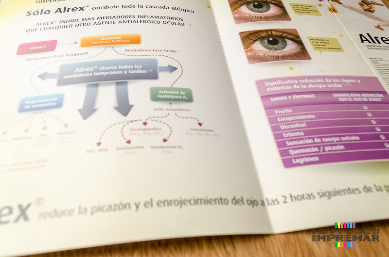 Impresion de carpetas en caseros